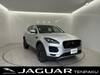 JAGUAR OTHER