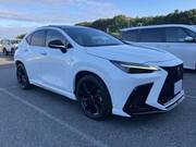 2022 LEXUS NX