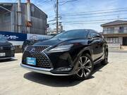 2019 LEXUS RX