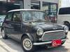 ROVER MINI