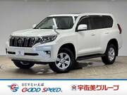 2021 TOYOTA LAND CRUISER PRADO TX