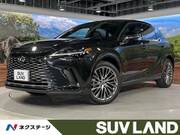 2023 LEXUS RX