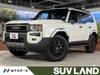 TOYOTA LANDCRUISER 250