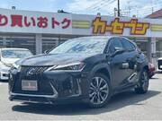 2020 LEXUS UX