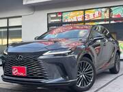 2025 LEXUS RX