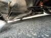 TOYOTA CHASER