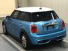 OTHER MINI