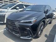 2022 LEXUS NX