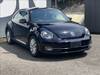 VOLKSWAGEN THE BEETLE