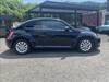 VOLKSWAGEN THE BEETLE
