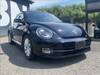 VOLKSWAGEN THE BEETLE