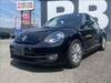 VOLKSWAGEN THE BEETLE