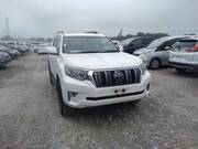 2019 TOYOTA LAND CRUISER PRADO