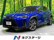 2019 LEXUS UX