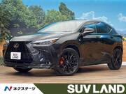 2022 LEXUS NX
