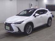 2022 LEXUS NX