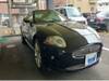 JAGUAR XK