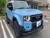 TOYOTA LANDCRUISER 250