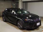 2019 LEXUS UX
