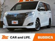 2019 TOYOTA ESQUIRE