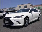 2019 LEXUS ES