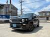 CHRYSLER JEEP RENEGADE