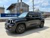 CHRYSLER JEEP RENEGADE