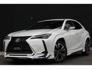 2020 LEXUS UX