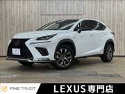 2020 LEXUS NX