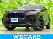 2025 HONDA OTHER