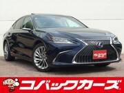 2019 LEXUS ES