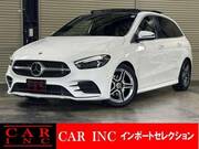 2019 MERCEDES BENZ B-CLASS