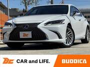 2020 LEXUS ES