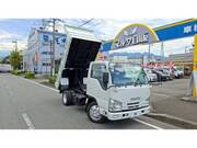 2019 ISUZU OTHER