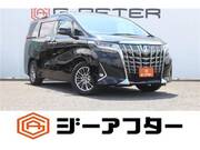 2019 TOYOTA ALPHARD HYBRID