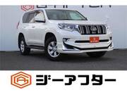 2021 TOYOTA LAND CRUISER PRADO