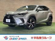 2017 LEXUS NX