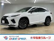 2021 LEXUS RX