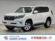2021 TOYOTA LAND CRUISER PRADO TX