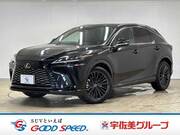 2023 LEXUS RX