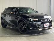 2021 LEXUS UX