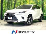 2021 LEXUS NX