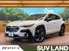 SUBARU OTHER