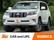2019 TOYOTA LAND CRUISER PRADO