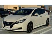 2019 NISSAN LEAF