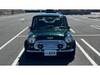 ROVER MINI