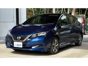 2019 NISSAN LEAF