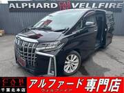 2018 TOYOTA ALPHARD