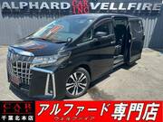 2019 TOYOTA ALPHARD
