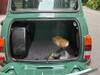 ROVER MINI